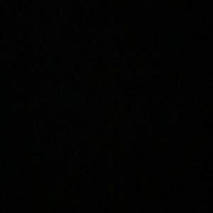 Meet your Posher, Danica